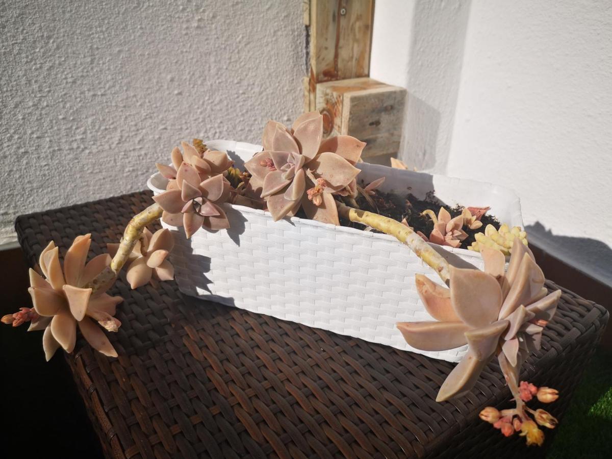 Family Surf Home - Hostel Mafra Exterior foto